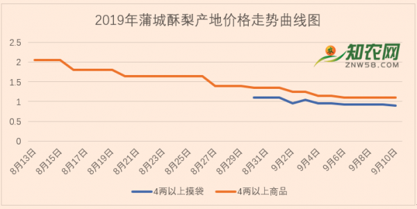 臨近中秋蒲城酥梨價格行情淺談